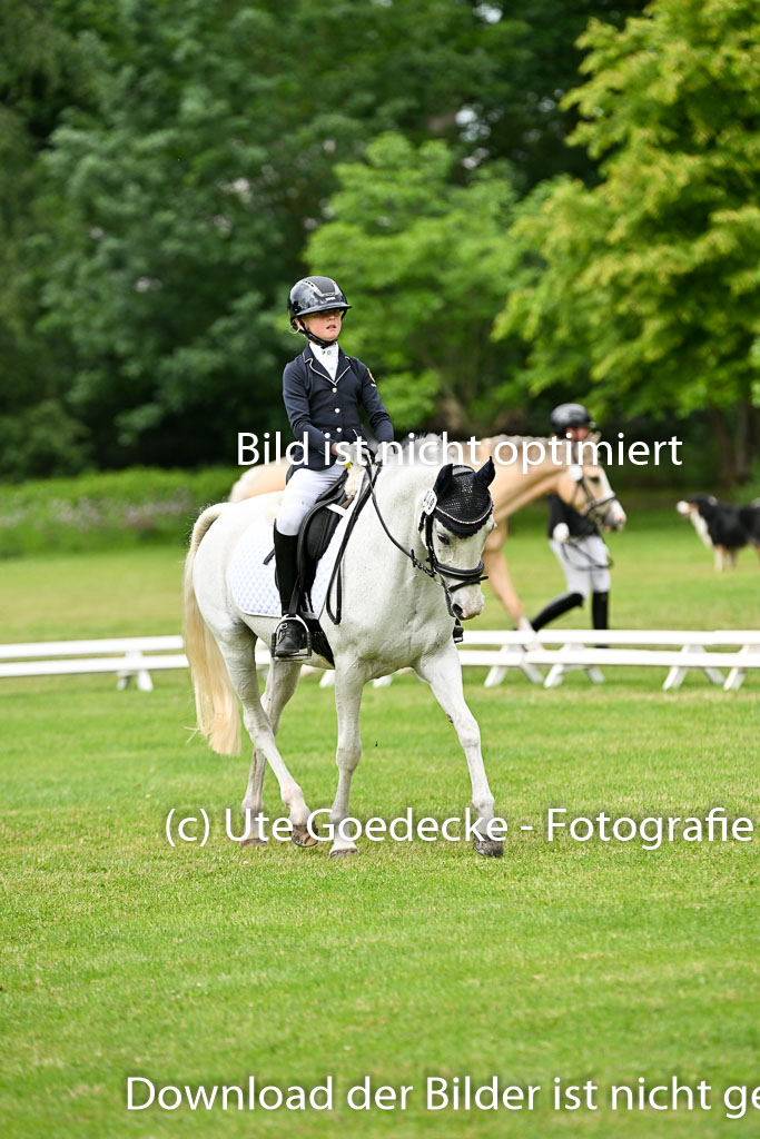  | 30052025 Dressur  (1171) 