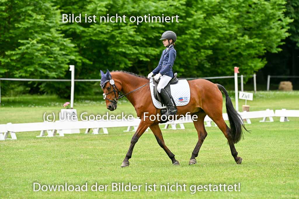  | 30052025 Dressur  (1177) 