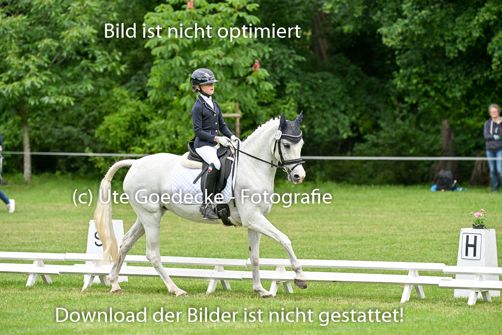  | 30052025 Dressur  (1183) 