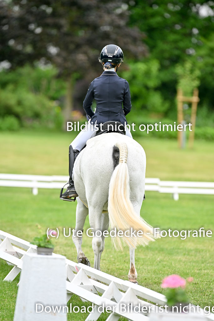  | 30052025 Dressur  (1184) 