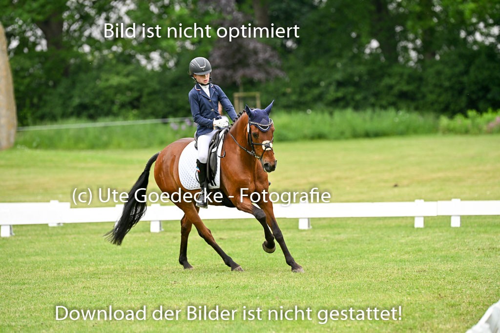  | 30052025 Dressur  (1186) 