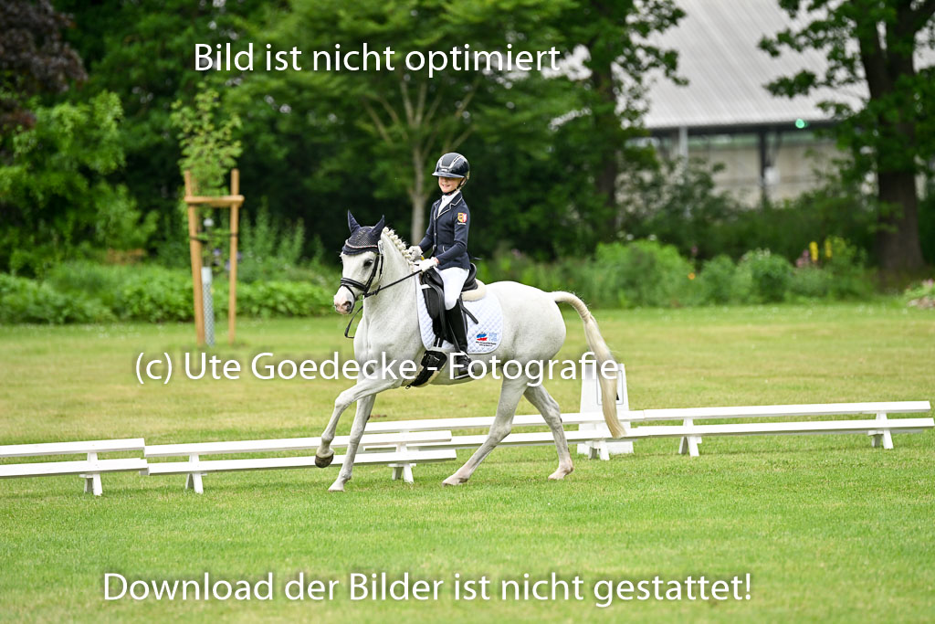  | 30052025 Dressur  (1190) 
