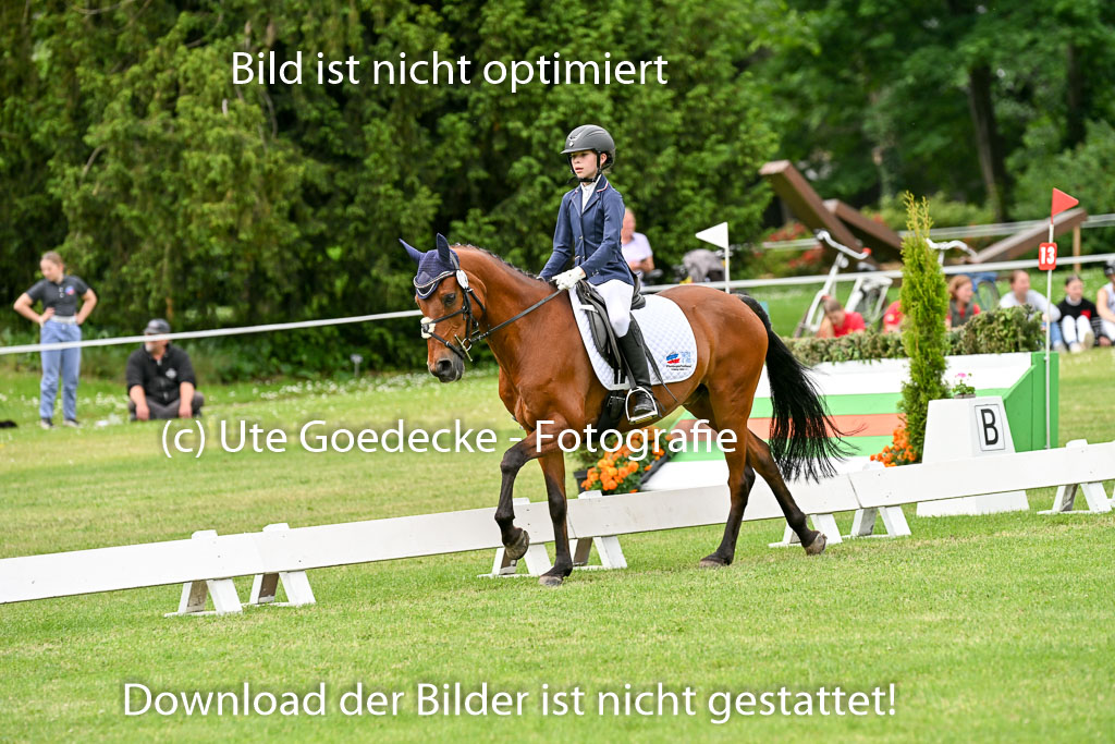  | 30052025 Dressur  (1194) 