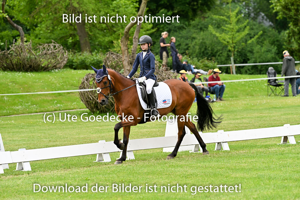  | 30052025 Dressur  (1196) 