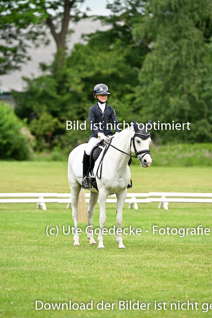  | 30052025 Dressur  (1197) 