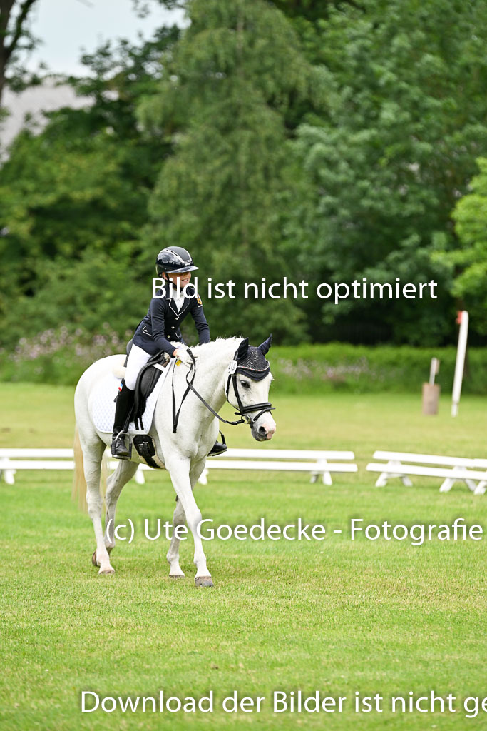  | 30052025 Dressur  (1198) 