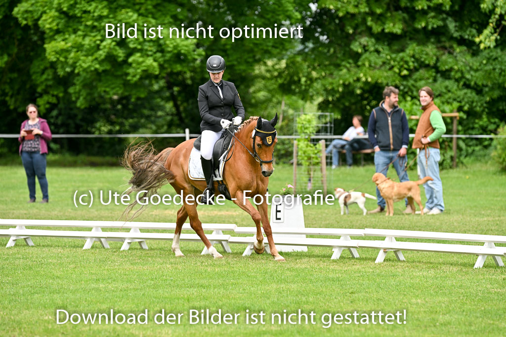  | 30052025 Dressur  (1208) 
