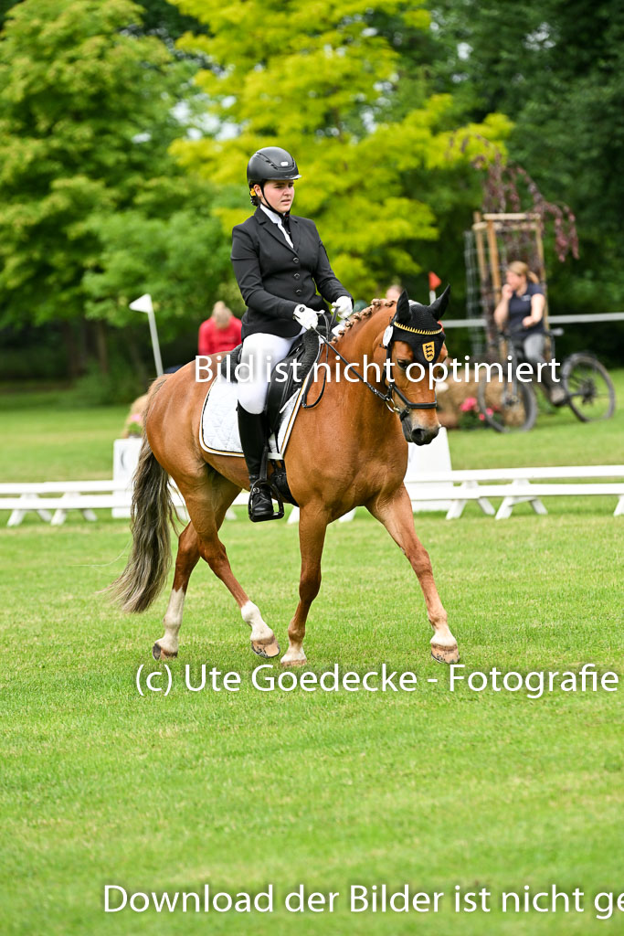  | 30052025 Dressur  (1213) 