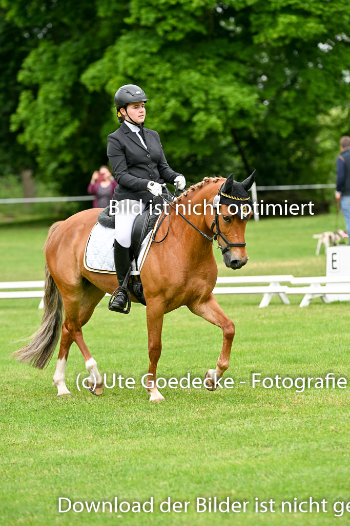  | 30052025 Dressur  (1214) 