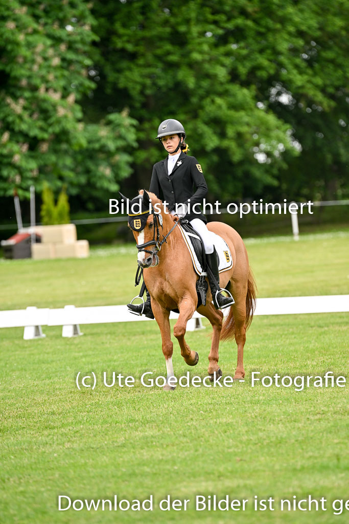  | 30052025 Dressur  (1217) 