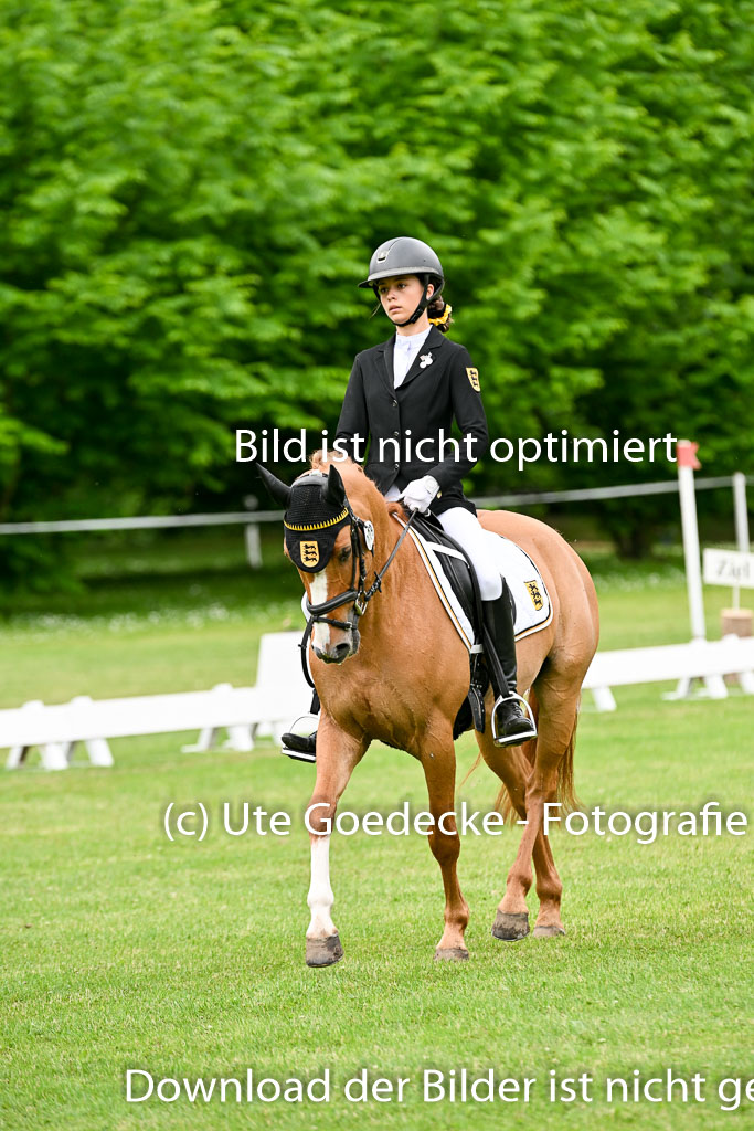  | 30052025 Dressur  (1220) 