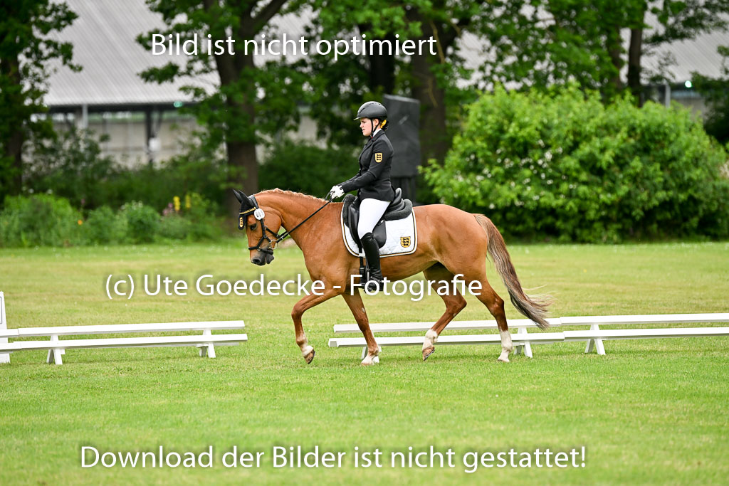  | 30052025 Dressur  (1226) 