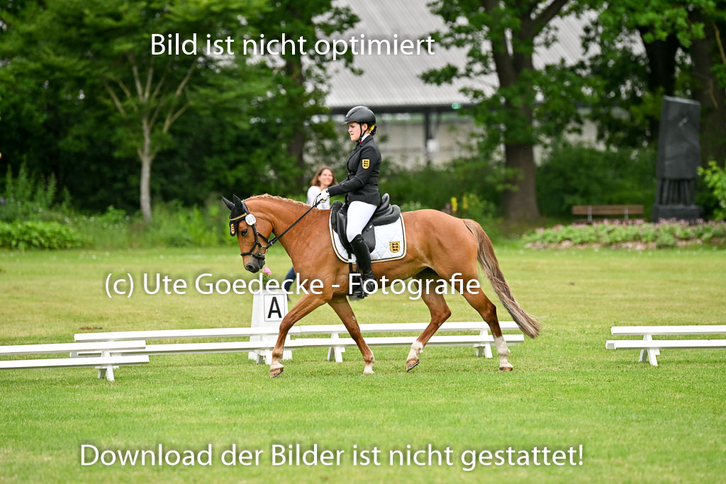  | 30052025 Dressur  (1227) 