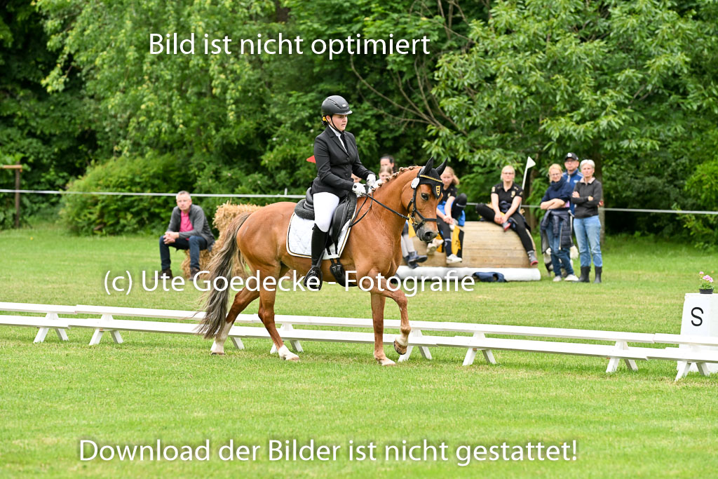  | 30052025 Dressur  (1234) 