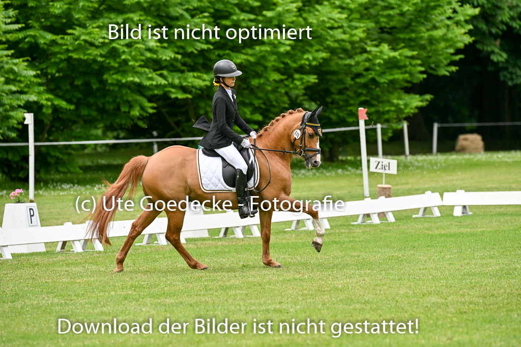  | 30052025 Dressur  (1237) 