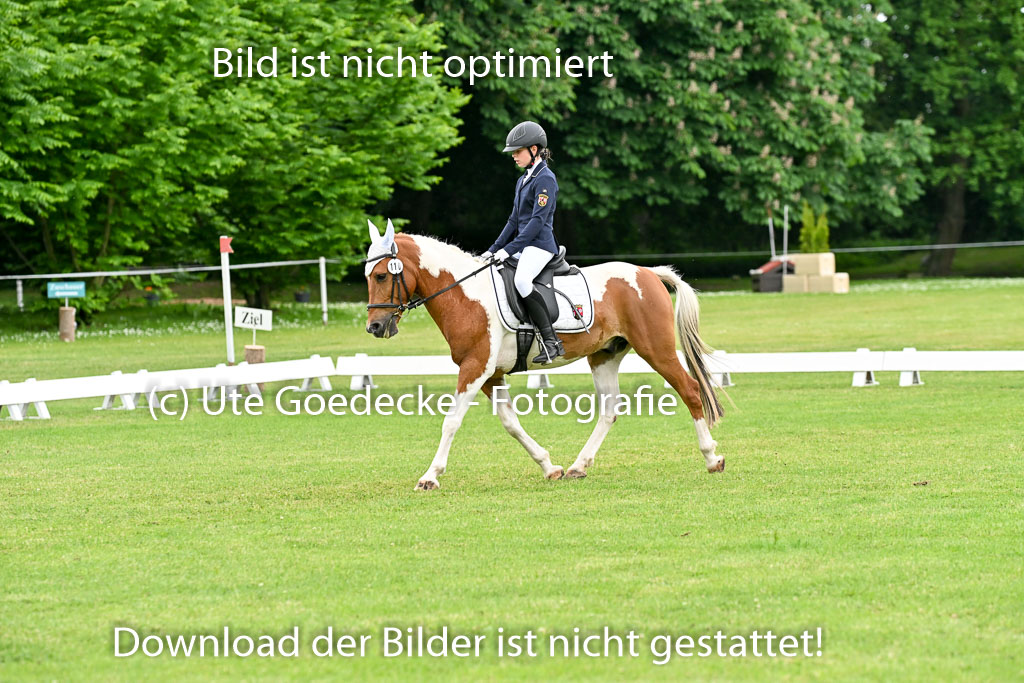 | 30052025 Dressur  (1250) 
