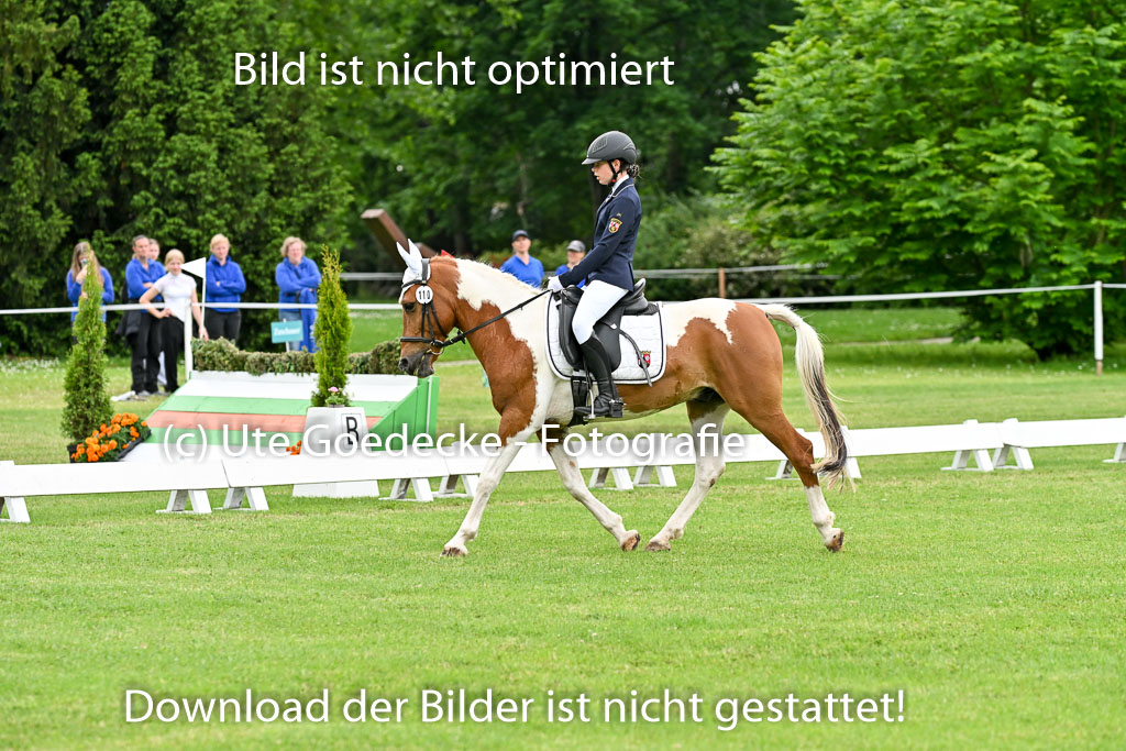  | 30052025 Dressur  (1251) 