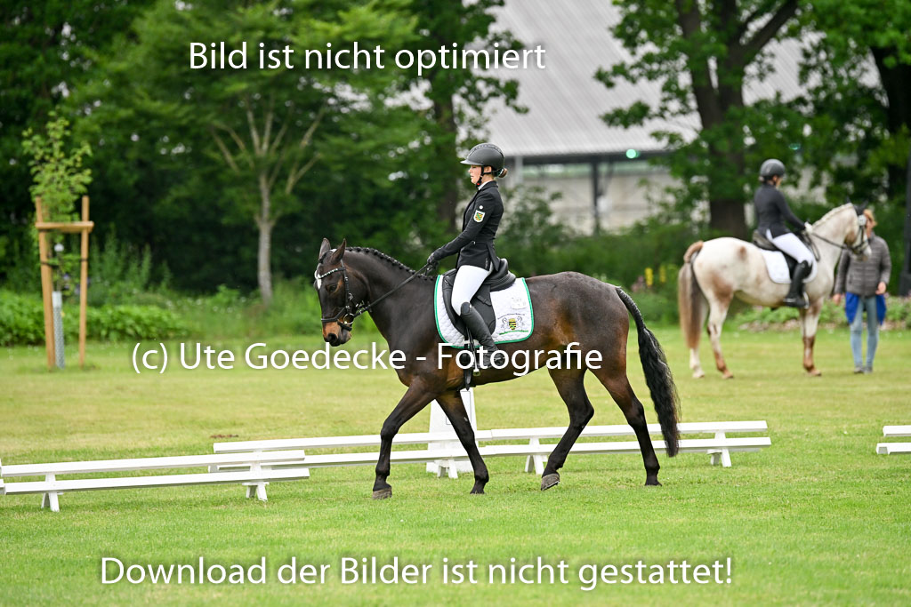  | 30052025 Dressur  (1253) 