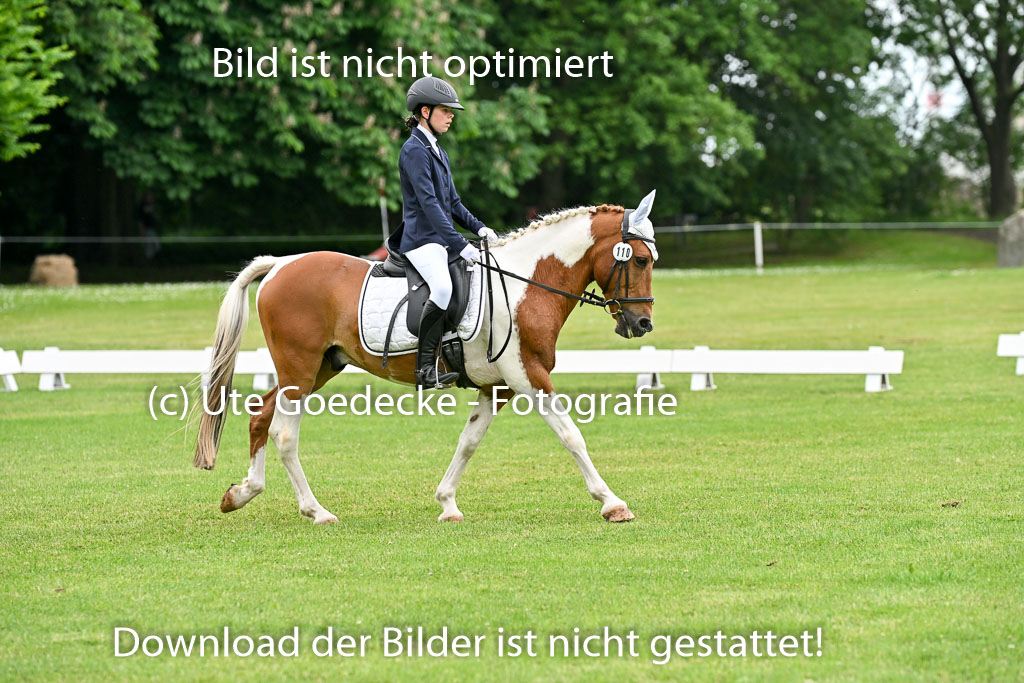  | 30052025 Dressur  (1257) 