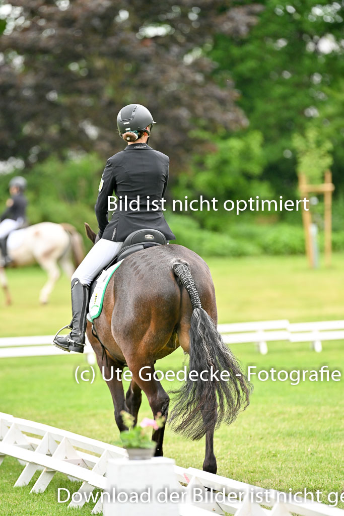  | 30052025 Dressur  (1258) 