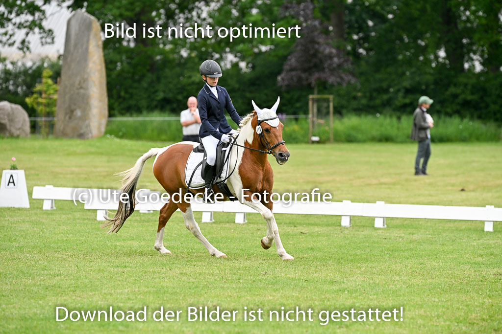  | 30052025 Dressur  (1263) 
