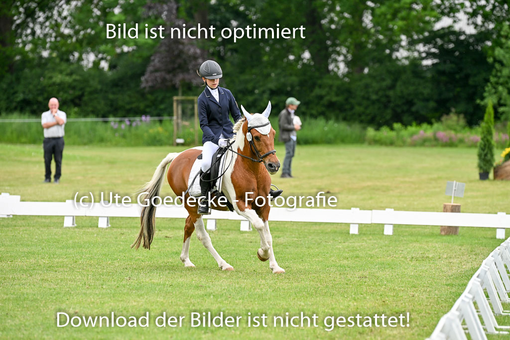  | 30052025 Dressur  (1264) 