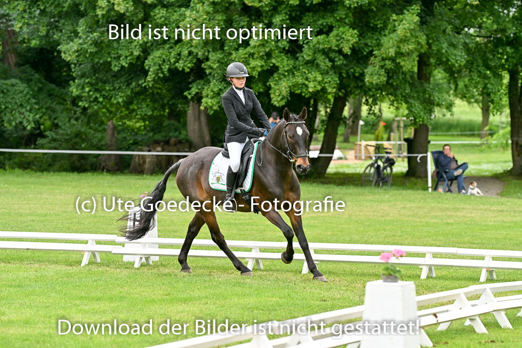  | 30052025 Dressur  (1268) 