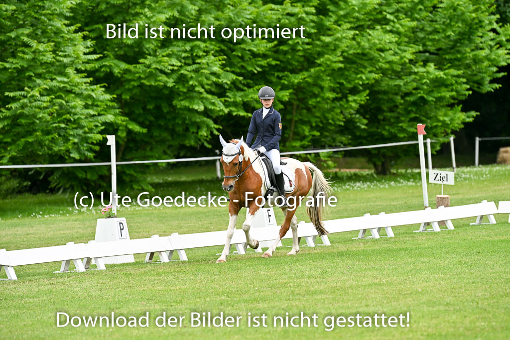  | 30052025 Dressur  (1269) 