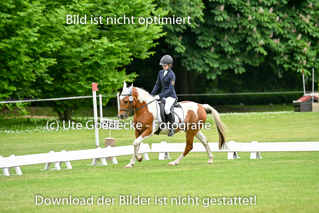  | 30052025 Dressur  (1271) 