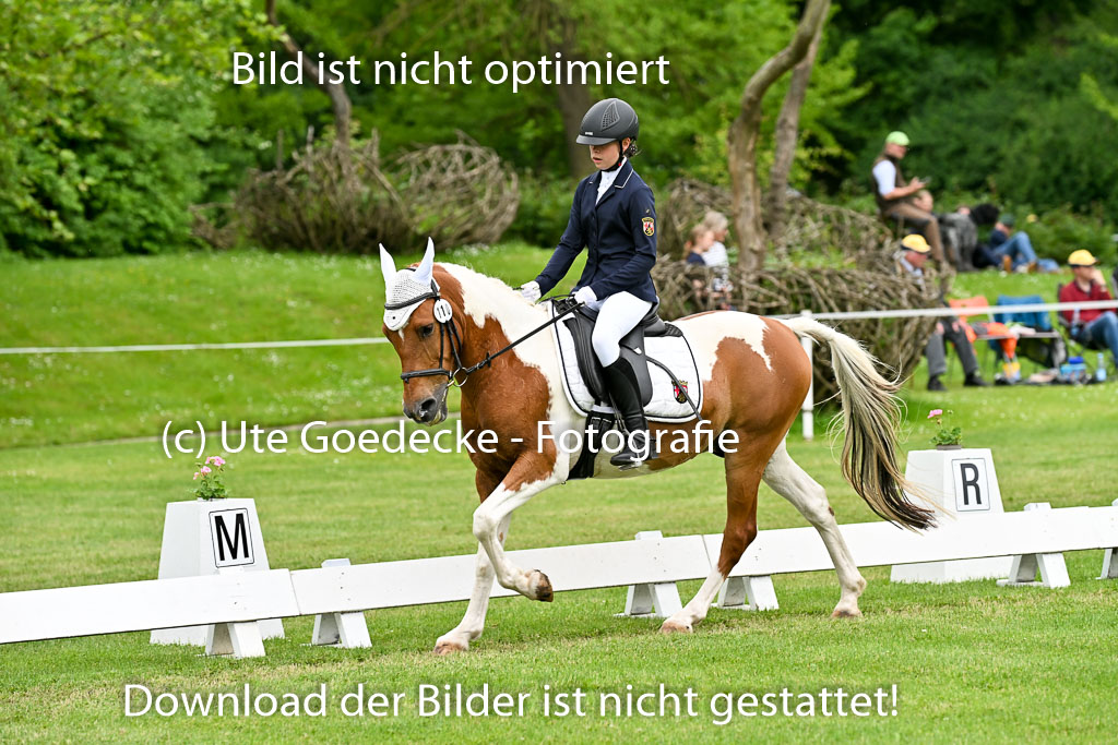  | 30052025 Dressur  (1274) 