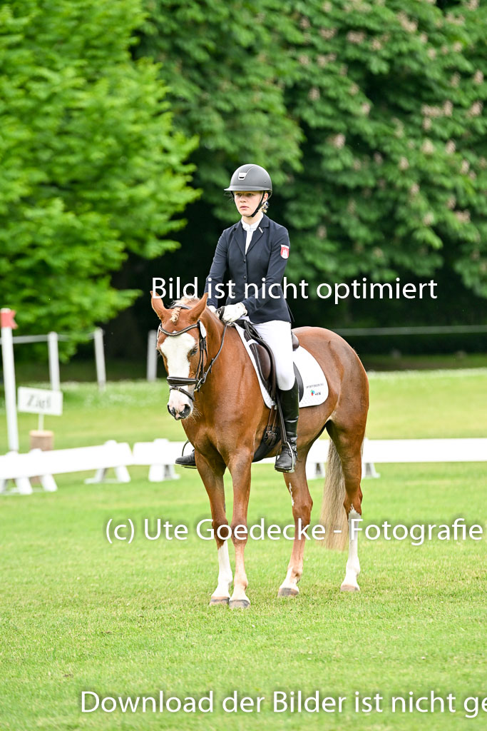 | 30052025 Dressur  (1287) 