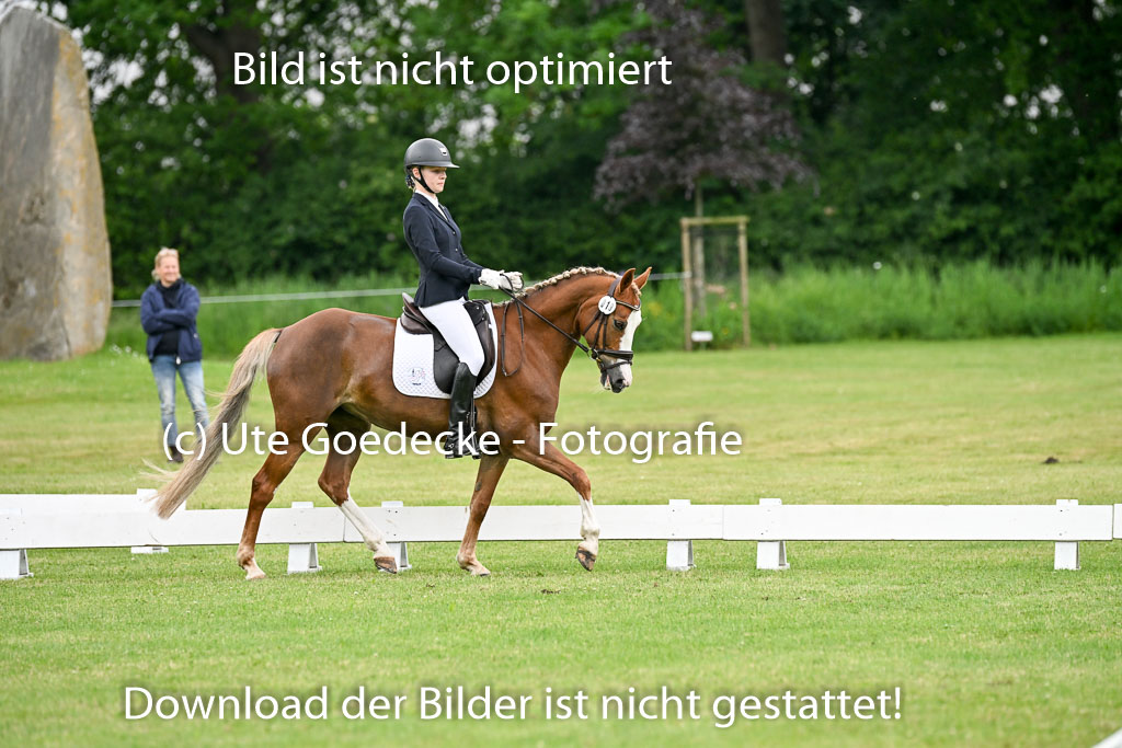  | 30052025 Dressur  (1289) 