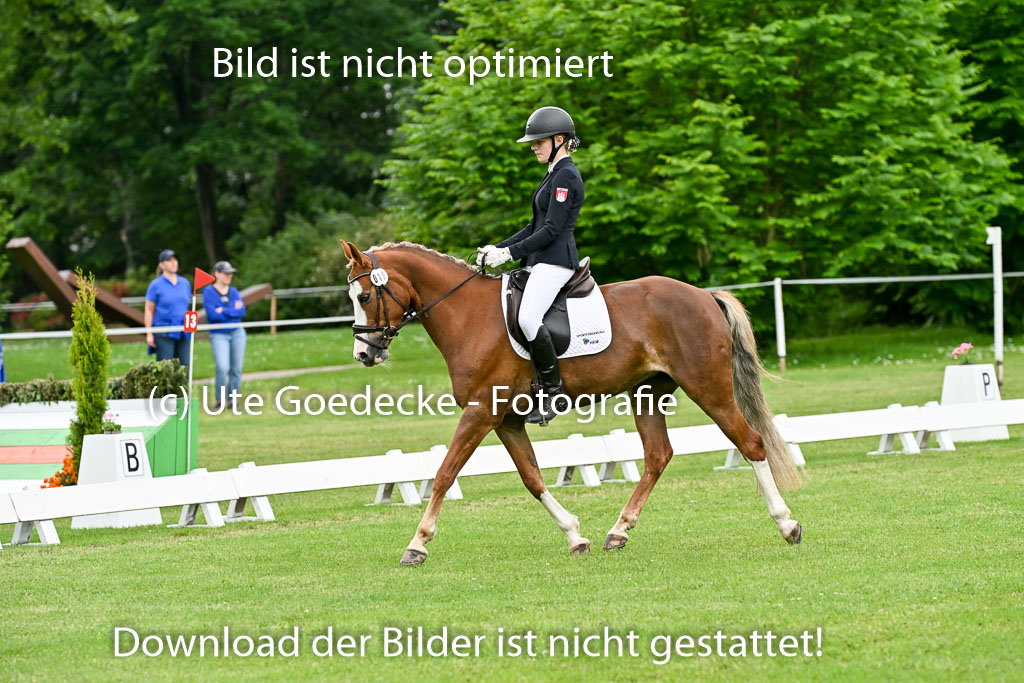  | 30052025 Dressur  (1292) 