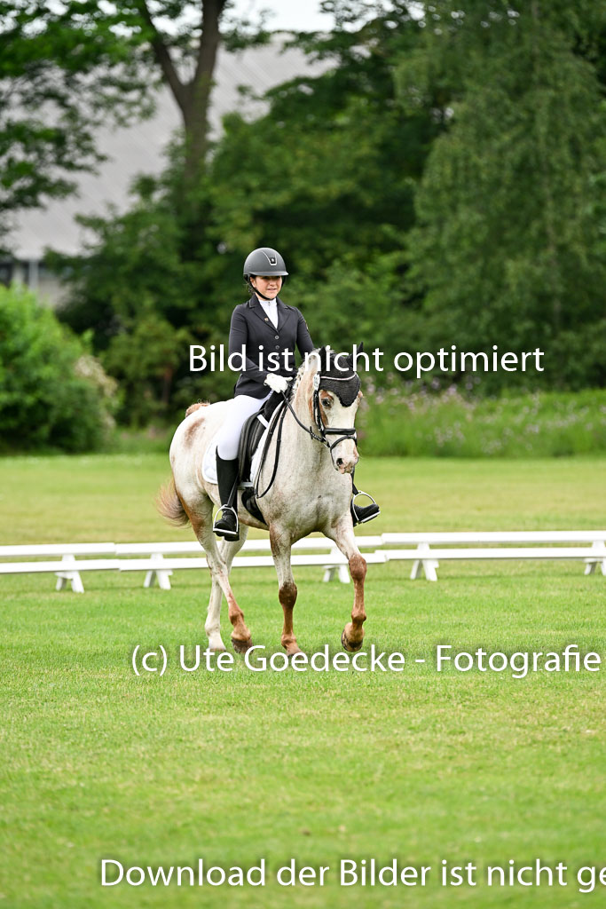  | 30052025 Dressur  (1294) 