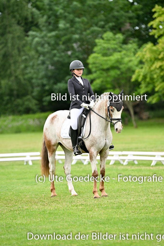  | 30052025 Dressur  (1297) 