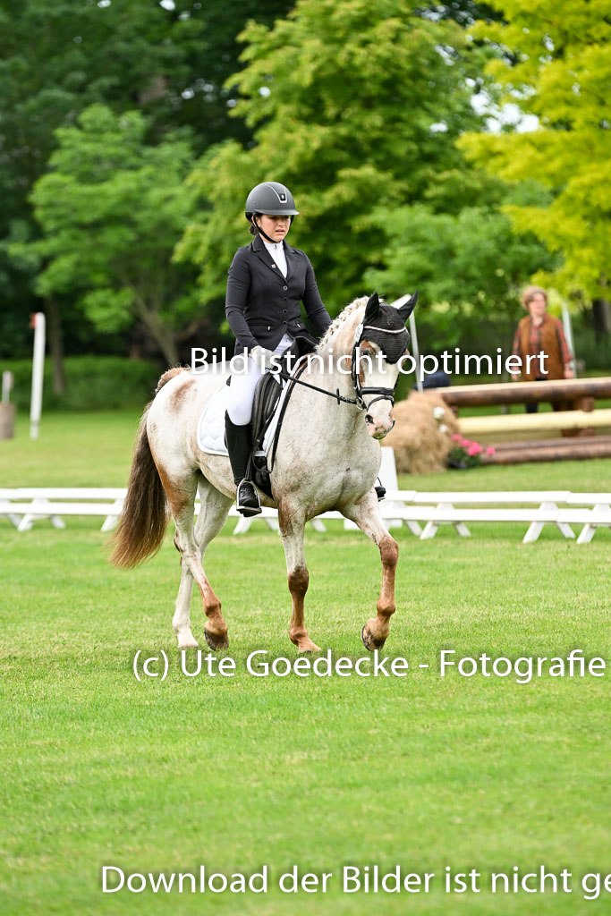  | 30052025 Dressur  (1298) 