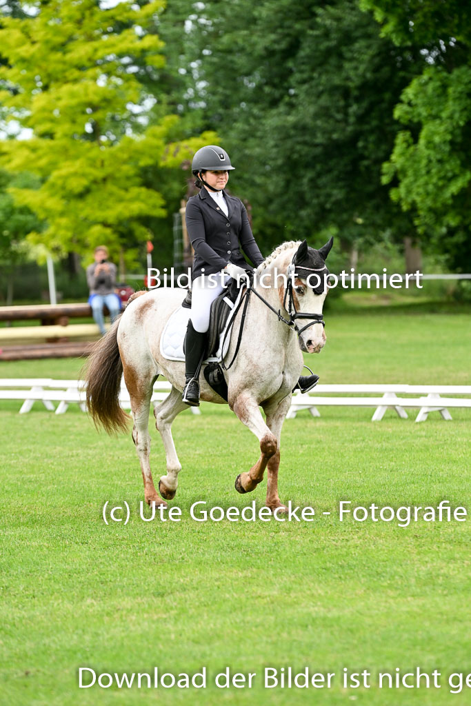  | 30052025 Dressur  (1299) 