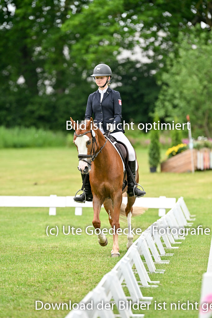  | 30052025 Dressur  (1303) 