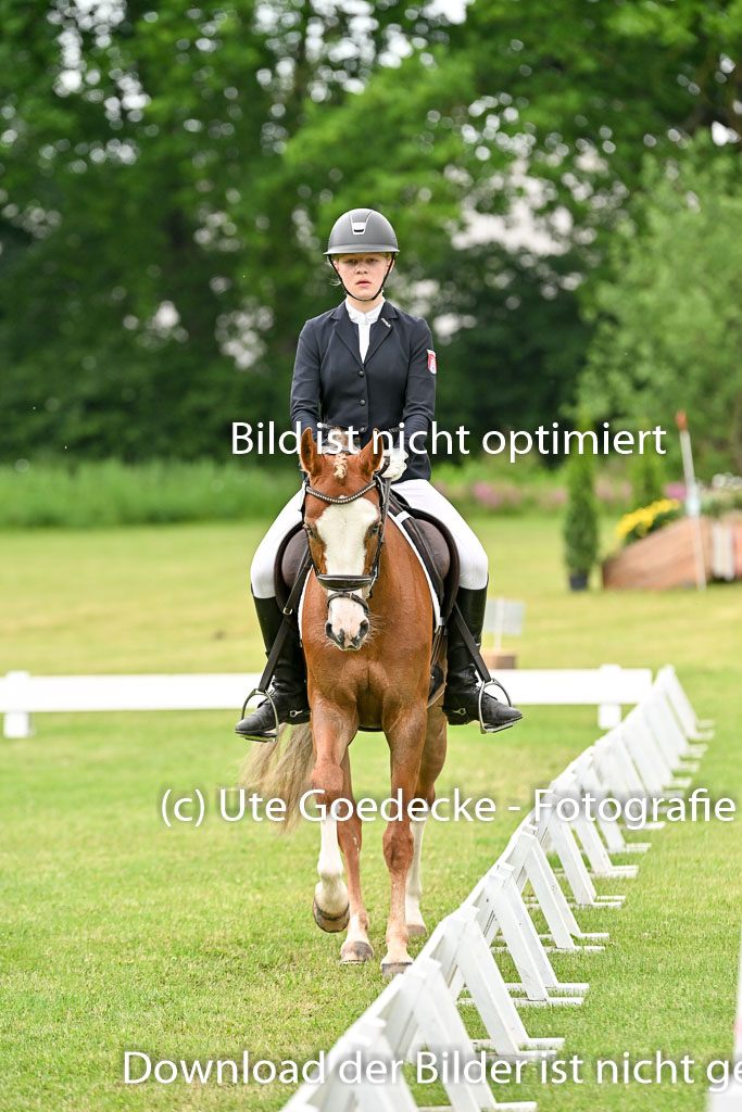  | 30052025 Dressur  (1306) 