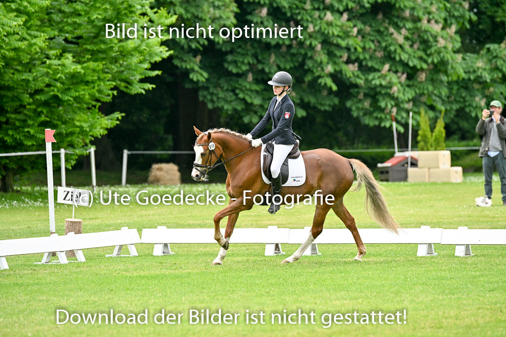  | 30052025 Dressur  (1311) 