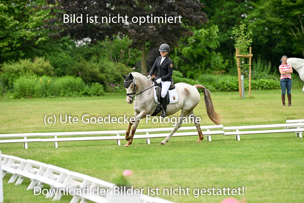  | 30052025 Dressur  (1314) 