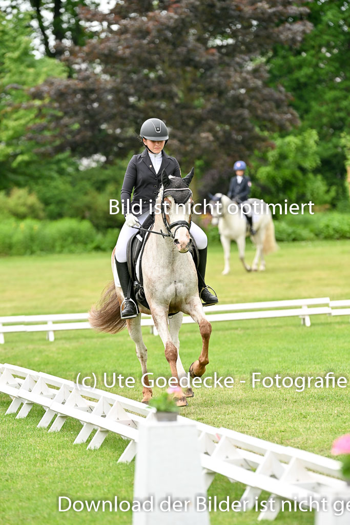  | 30052025 Dressur  (1316) 