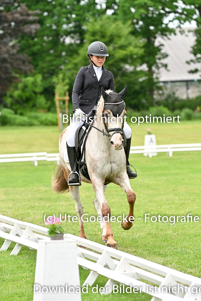  | 30052025 Dressur  (1317) 