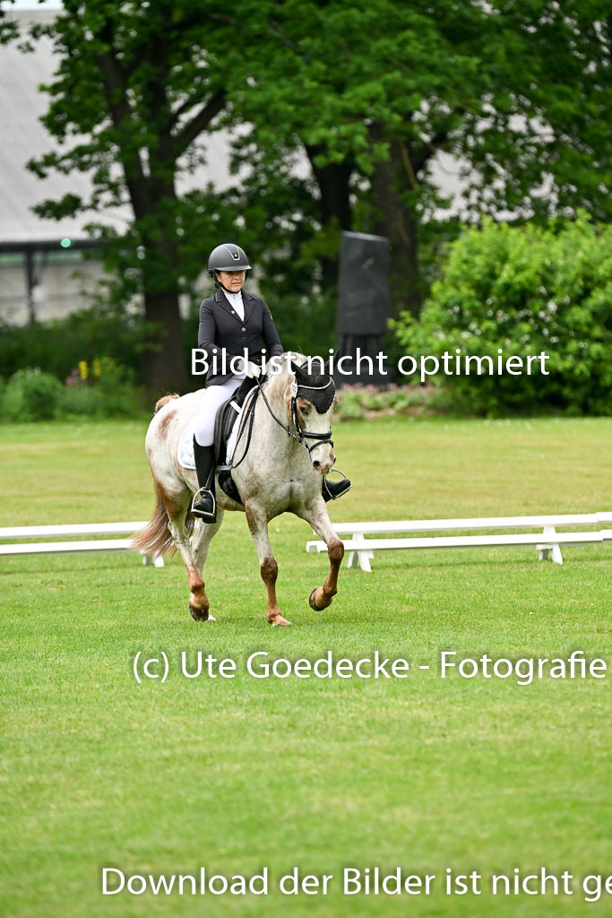  | 30052025 Dressur  (1320) 