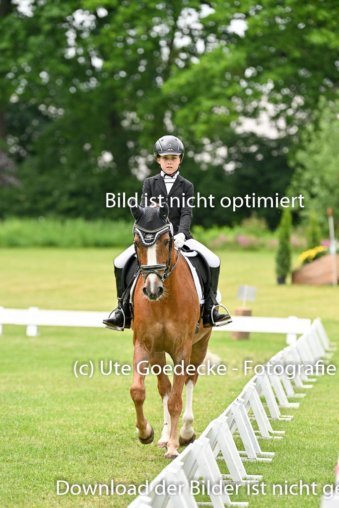  | 30052025 Dressur  (1324) 