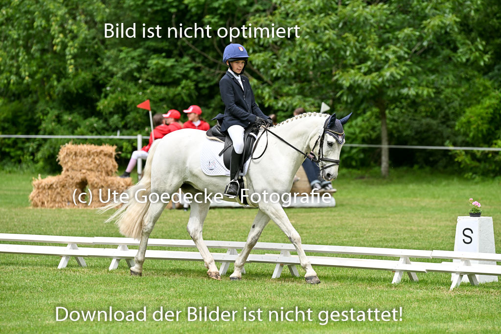  | 30052025 Dressur  (1327) 