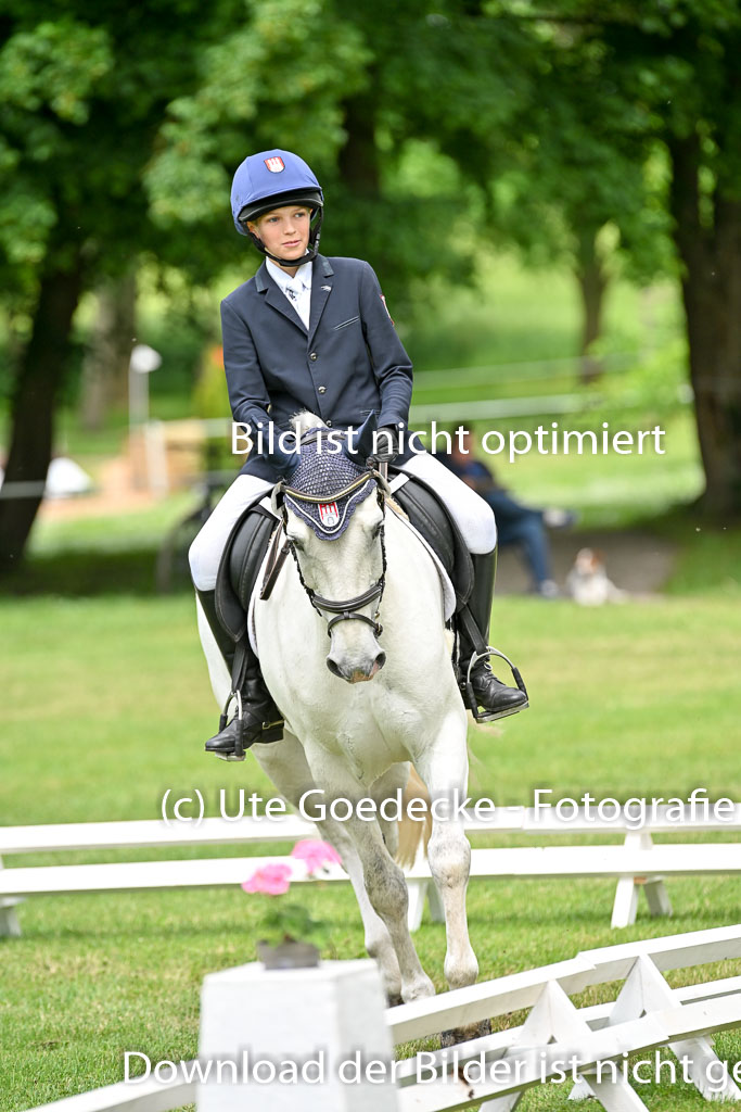  | 30052025 Dressur  (1329) 