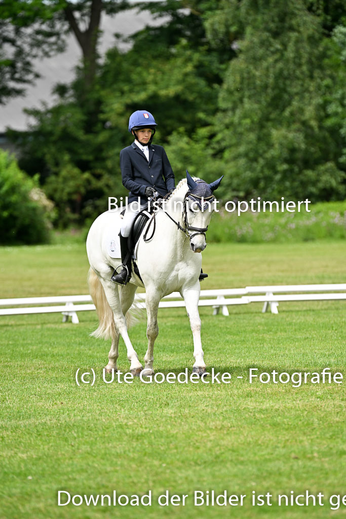  | 30052025 Dressur  (1334) 