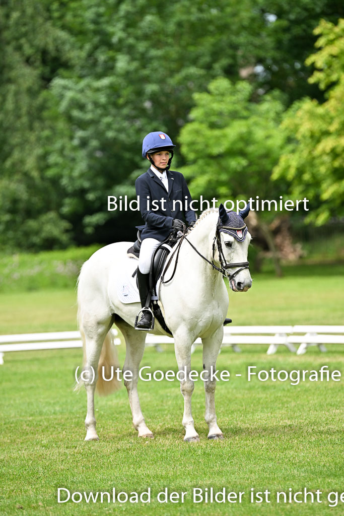  | 30052025 Dressur  (1335) 