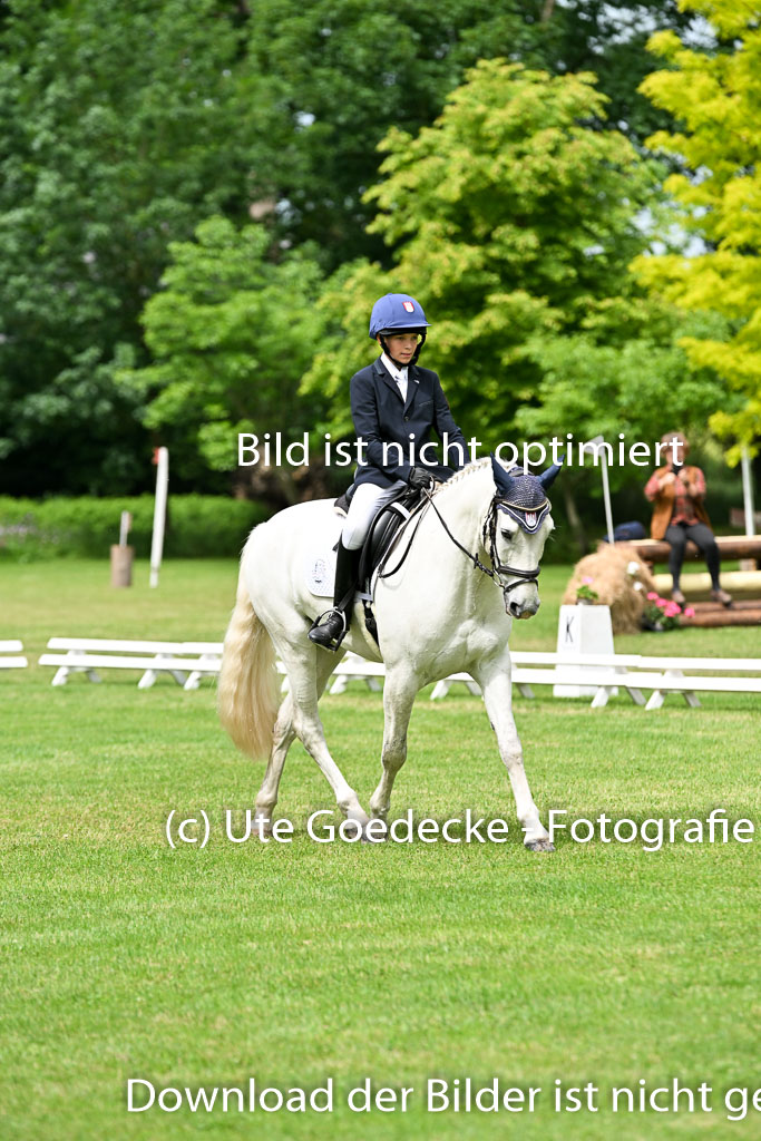  | 30052025 Dressur  (1337) 